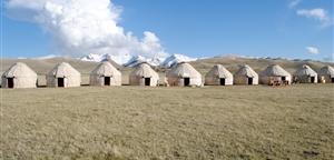Yurt Camp